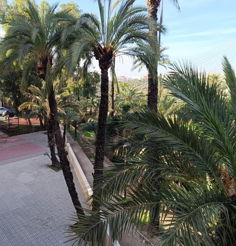 ¿ BUSCAS UN HOGAR ACOGEDOR Y EN UN ENTORNO RELAJADO ? LA TRANQUILIDAD BRILLA A RAUDALES photo 0