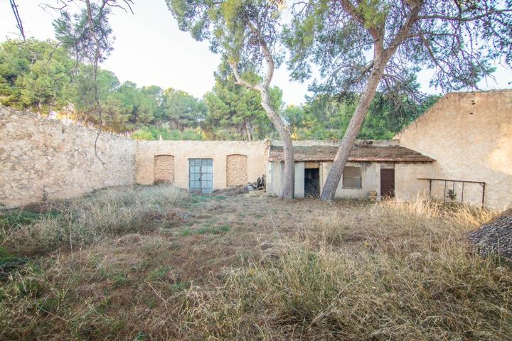 CASA CON ENCANTO EN LA ROMANA – DOS FINCAS REGISTRALES CON JARDÍN, LOCALES, PATIOS Y MUCHO POTENCIAL photo 0