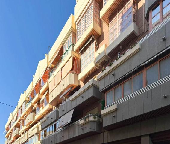 VIVIR EN EL CENTRO DE ELCHE: EL HOGAR QUE PUEDES VER, SENTIR Y ESCUCHAR photo 0