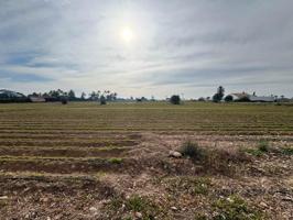 TERRENO EN VENTA EN VALVERDE – CARRETERA DE SANTA POLA photo 0