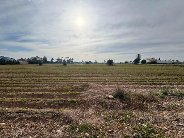 TERRENO EN VENTA EN VALVERDE – CARRETERA DE SANTA POLA photo 0