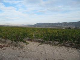 Parcela en SALINAS, ALICANTE photo 0