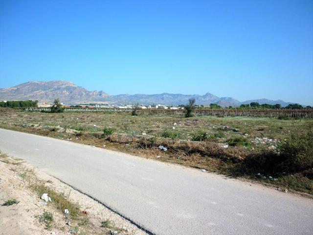 Terreno en el camino de elche, monforte del cid photo 0