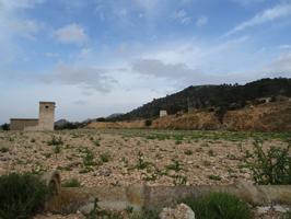 FINCA RUSTICA EN EL TOLOMO-UMBRIA EN HONDON DE LAS NIEVES photo 0