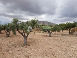 VENTA DE TERRENO RUSTICO EN LA CANALOSA photo 0