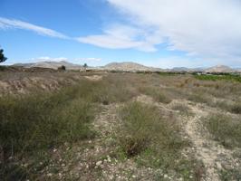 SE VENDE TERRENO EN LA ZONA DE LA HORNA EN ASPE photo 0