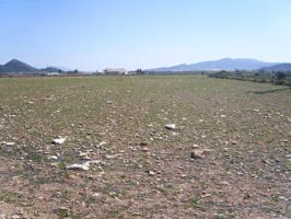 SE VENDE PARCELA TERRENO PARA CONSTRUIR photo 0