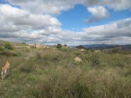 SE VENDE TERRENO EN NOVELDA (ALICANTE) SPAIN photo 0