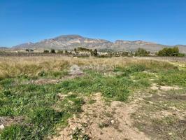 VENTA DE PARCELA RUSTICA EN HONDÓN DE LAS NIEVES-ALICANTE, MUY CERCA DE LA CIUDAD photo 0