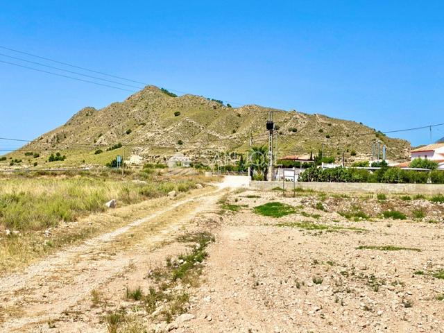 VENTA DE PARCELA DE 7.300 M2 EN ABANILLA EN EL SALADO ALTO photo 0