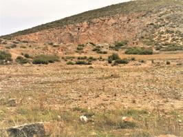 TERRENO EN CAÑADA ZONA CTRA.- CAÑADA BIAR CON CANTERA photo 0