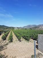 SE VENDE TERRENO EN LA ROMANA EN ZONA LA CAVA (ALICANTE) photo 0