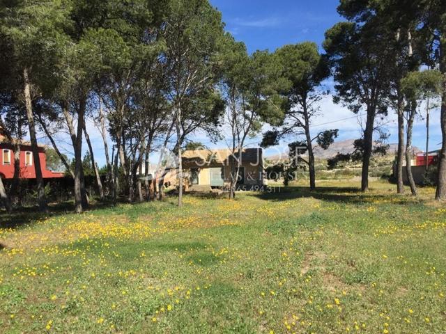 FINCA TERRENO URBANO EN ORITO, MONFORTE DEL CID, ALICANTE photo 0