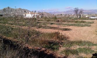 Inmobiliaria San Jose vende parcela en Aspe photo 0