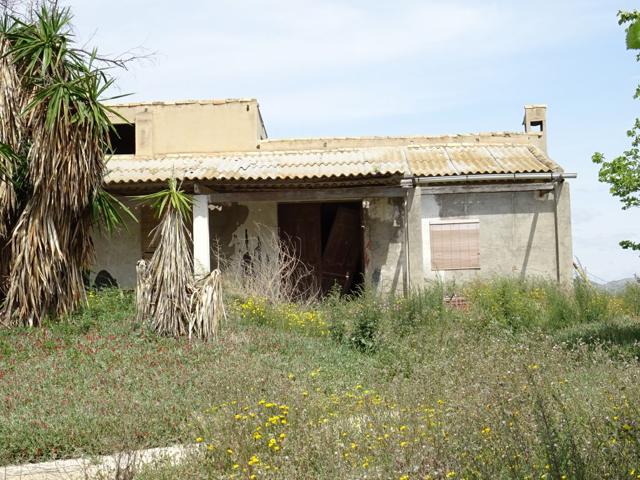 ESPLENDIDA FINCA RUSTICA CON CASA PARA CULTIVAR EN ASPE EN VENTA photo 0