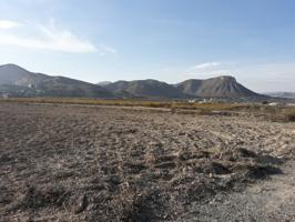 TERRENO RUSTICO PARA CONSTRUIR EN ASPE ZONA DEL TOLOMO photo 0