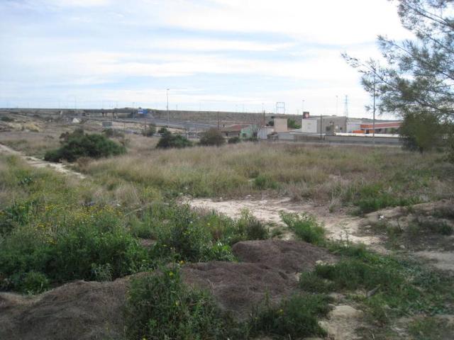 INMOBILIARIA SAN JOSE VILLAS AND HOUSES VENDE PARCELA EN ALENDA GOLF photo 0