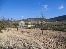 VENTA DE PARCELA EN HONDON DE LAS NIEVES photo 0