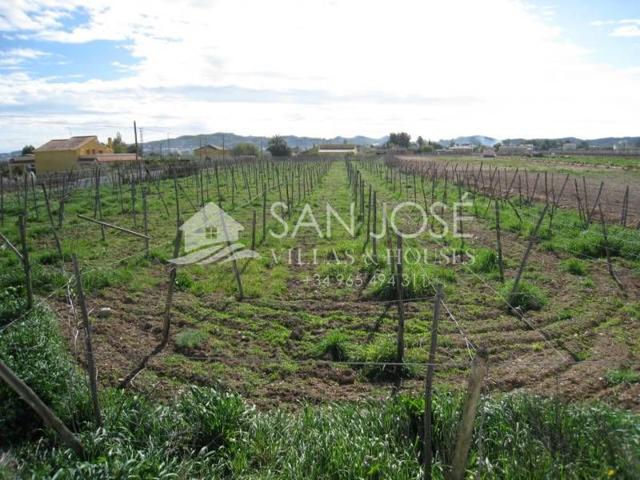 VENTA DE TERRENO RURAL EN ZONA HORNA EN ASPE photo 0