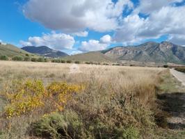 SE VENDE PARCELA EN CAÑADA DE LA LEÑA (ABANILLA) SPAIN photo 0