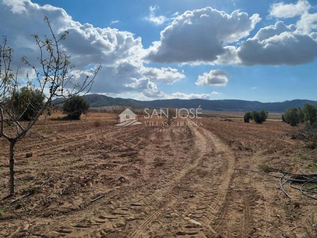 SE VENDE CASA CON TERRENO EN LA CAÑADA DE LA LEÑA (ABANILLA) SPAIN photo 0