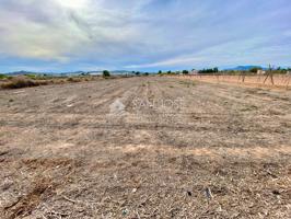 VENTA DE PARCELA EN ASPE EN LA ZONA PARAJE DE LA HORNA photo 0