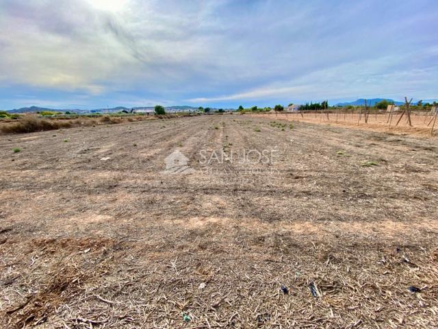 VENTA DE PARCELA EN ASPE EN LA ZONA PARAJE DE LA HORNA photo 0