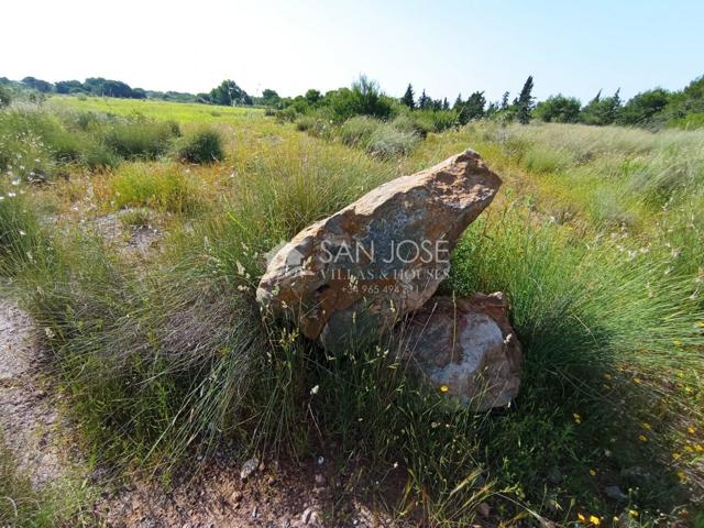 VENTA DE PARCELA AGRARIO EL ALTET photo 0