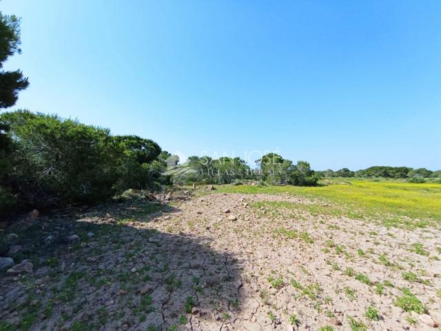 VENTA DE PARCELA RUSTICA EN EL ALTET photo 0