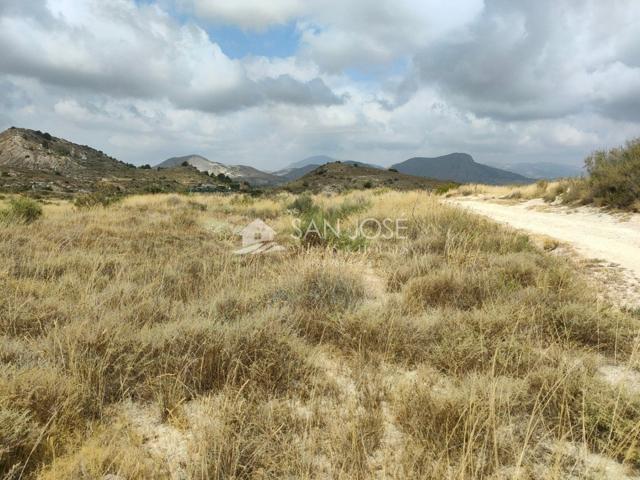 SE VENDE PARCELA GRANDE EN ASPE ZONA DE BORISA photo 0