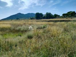 SE VENDE TERRENO RURAL CON POSIBILIDAD DE ALBERGUE EN LA ROMANA photo 0