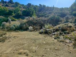 SE VENDE PARCELA RURAL EN ASPE ZONA TRES HERMANAS photo 0