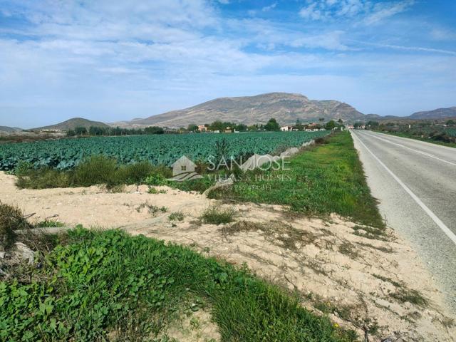 NUEVA PROPIEDAD SE VENDE TERRENO RURAL EN MONFORTE DEL CID EN EL CAMINO SAN VICENTE photo 0