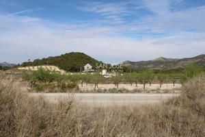 VENTA DE TERRENO EN SAX photo 0