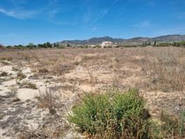 SE VENDE PARCELA CON LICENCIA PARA CONSTRUIR EN PINOSO (ALICANTE) SPAIN photo 0