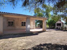 VENTA DE CHALET EN ASPE, ZONA CAMINO VIEJO DE HONDÓN photo 0