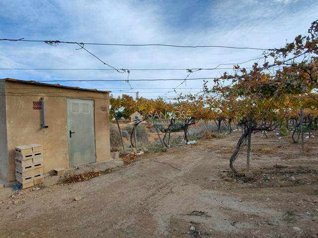 INMOBILIARIA SAN JOSE VENDE PARCELA RUSTICA EN BUENA ZONA DE ASPE photo 0