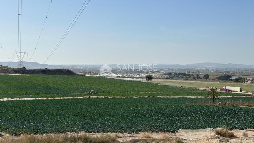 SE VENDE PARCELA URBANIZABLE EN LA MARINA-ELCHE photo 0