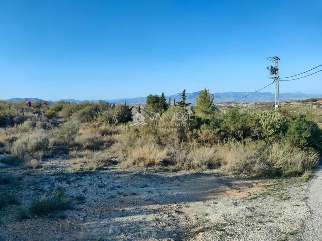 INMOBILIARIA SAN JOSE VENDE PARCELA RUSTICA EN ASPE ZONA BORISA photo 0