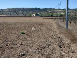 SE VENDE PARCELA EN BARBARROJA CERCA DEL PUEBLO photo 0