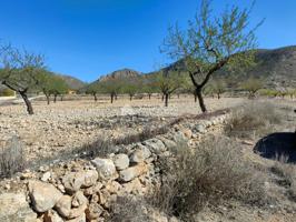 SE VENDE PARCELA CON PRODUCCION DE ALMENDROS AL LADO DEL PUEBLO DE BARBARROJA photo 0