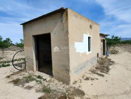 SE VENDE PARCELA PLANTADA DE ALMENDROS CON CASITA Y AGUA DE RIEGO photo 0