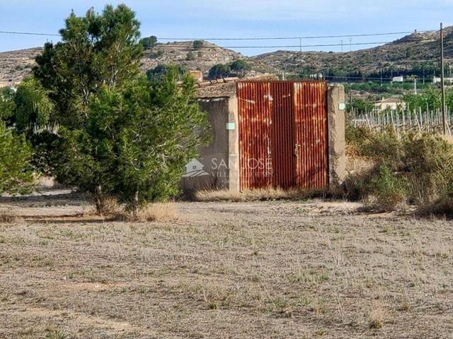 SE VENDE PARCELA RUSTICA CON CASITA DE 20 M2 CON AGUA Y PUNTO DE LUZ EN ASPE photo 0