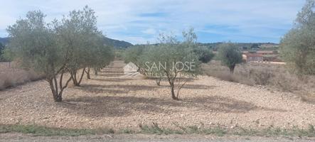 SE VENDE PARCELA RUSTICA EN HONDON DE LOS FRAILES CERCA DEL POLIDEPORTIVO photo 0