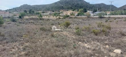 SE VENDE PARCELA RUSTICA EN HONDON DE LOS FRAILES ZONA DE MONTEALTO photo 0