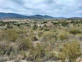 INMOBILIARIA SAN JOSE VENDE FINCA RUSTICA EN HONDON DE LAS NIEVES PARAJE LA SOLANA photo 0