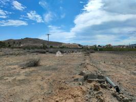 INMOBILIARIA SAN JOSE VENDE FINCA RUSTICA CERCA DEL PUEBLO DE HONDON DE LAS NIEVES photo 0