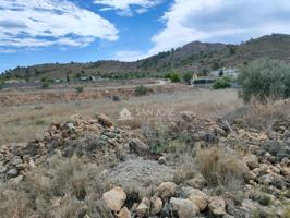 INMOBILIARIA SAN JOSE VENDE FINCA RUSTICAEN EL RINCON- HONDON DE LAS NIEVES photo 0