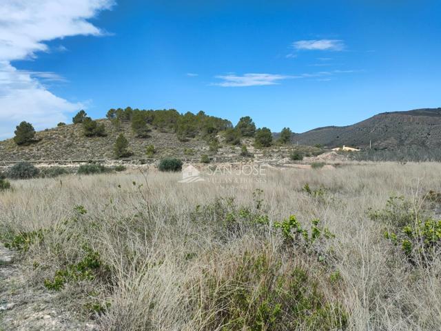 INMOBILIARIA SAN JOSE VENDE FINCA RUSTICAEN EL RINCON- HONDON DE LAS NIEVES photo 0