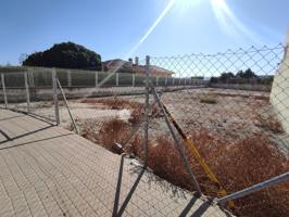 SE VENDE TERRENO URBANO EN MONFORTE DEL CID. photo 0